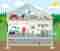 Création illustration intérieur maison de poupée en flat design pour illustrer la préfention de son habitat des inondations